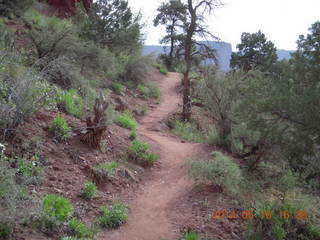 309 8mg. Fisher Tower hike