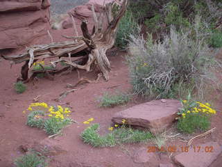 335 8mg. Fisher Tower hike