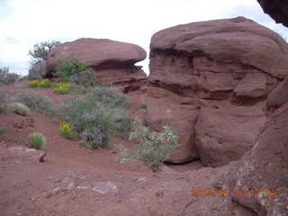 337 8mg. Fisher Tower hike