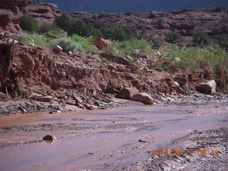 Onion Creek drive - quad four-wheeler