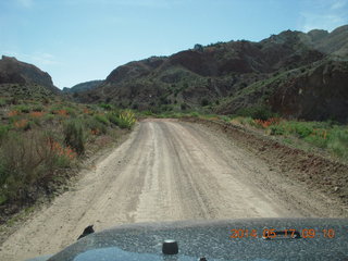 Onion Creek drive