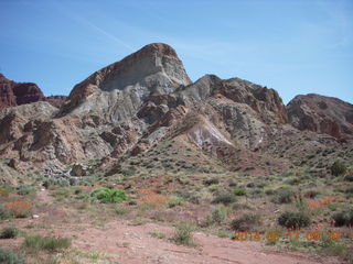 Onion Creek drive