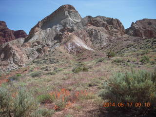 Onion Creek drive
