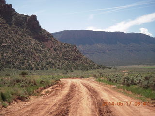 Onion Creek drive