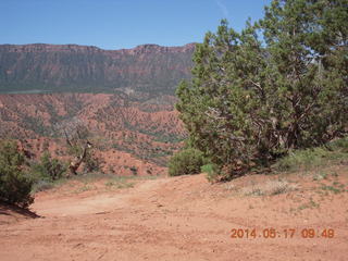 Onion Creek drive