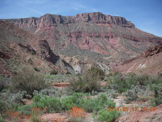 Onion Creek drive