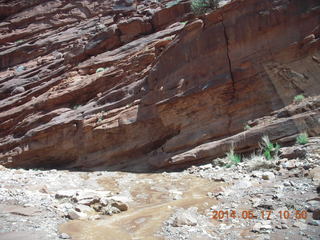 Onion Creek drive