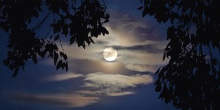 moonrise over the Grand Canyon