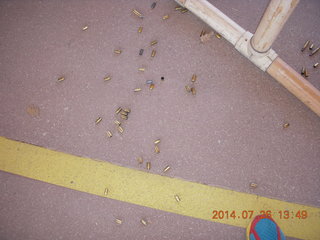 Brian at Ben Avery shooting range