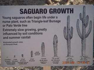 Pinnacle Peak - Saguaro Growth sign