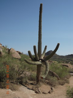 Pinnacle Peak hike