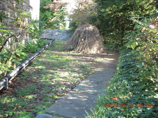 Eric L's pictures - Cheltenham XC - Curtis Arboretum - Josh G and Mike G