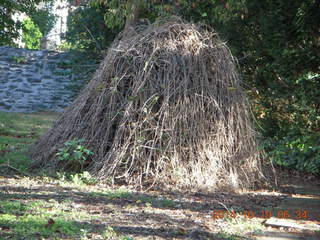 Cousin It pile of sticks