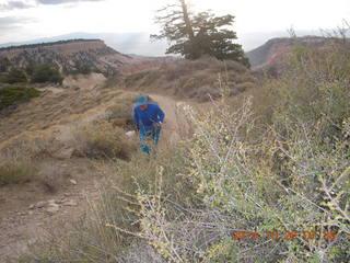 2422 8ss. Bryce Canyon - Adam running the rim trail