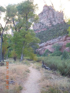 Zion National Park -  Virgin River - Olga