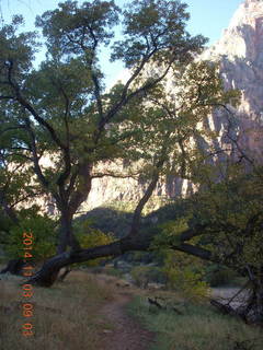 Zion National Park - path along the Virgin River