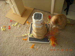 359 8t3. my kitten-cat Max with his new toy - thanks to Debbie M of Animal Planners