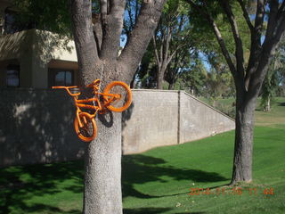 orange bike chained to a tree