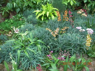 Longwood Gardens