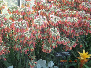 Longwood Gardens