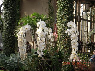 Longwood Gardens organ
