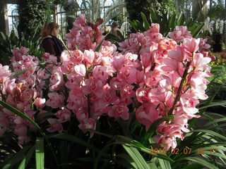 Longwood Gardens organ