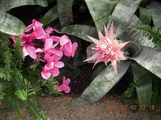 Longwood Gardens