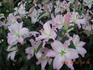 Longwood Gardens - John and Sandra S