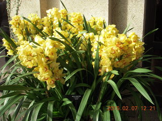 Longwood Gardens