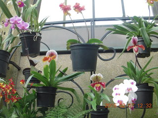 Longwood Gardens