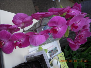 Longwood Gardens