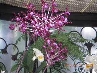 Longwood Gardens