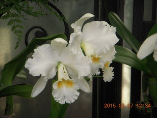 Longwood Gardens