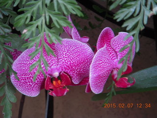 Longwood Gardens