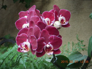 Longwood Gardens