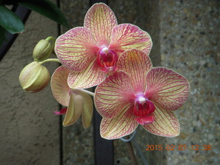 Longwood Gardens