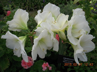 Longwood Gardens
