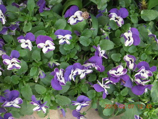Longwood Gardens