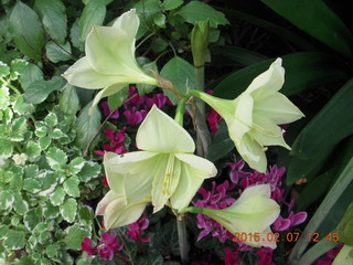 Longwood Gardens