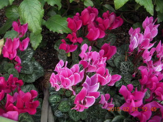 Longwood Gardens