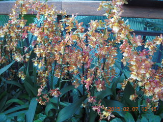 Longwood Gardens