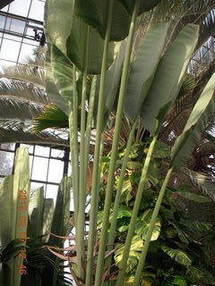 Longwood Gardens