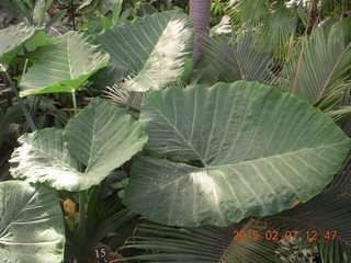 Longwood Gardens