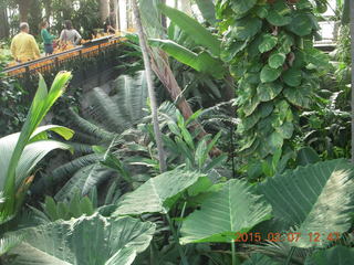 Longwood Gardens
