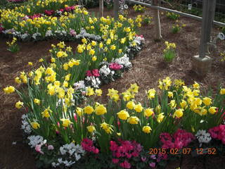 Longwood Gardens