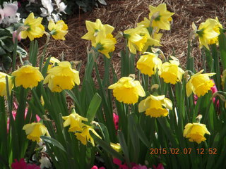 Longwood Gardens