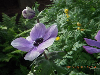 Longwood Gardens