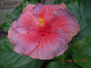 Longwood Gardens