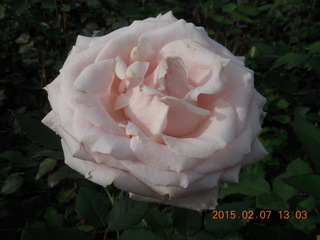Longwood Gardens