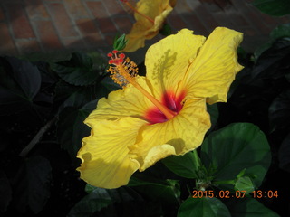 Longwood Gardens